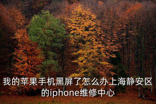 我的蘋果手機(jī)黑屏了怎么辦上海靜安區(qū)的iphone維修中心