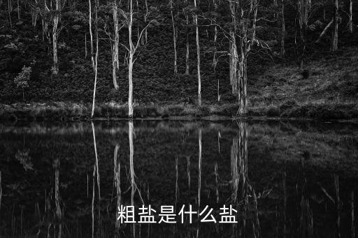 粗鹽是什么鹽