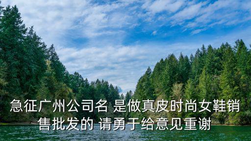 急征廣州公司名 是做真皮時尚女鞋銷售批發的 請勇于給意見重謝