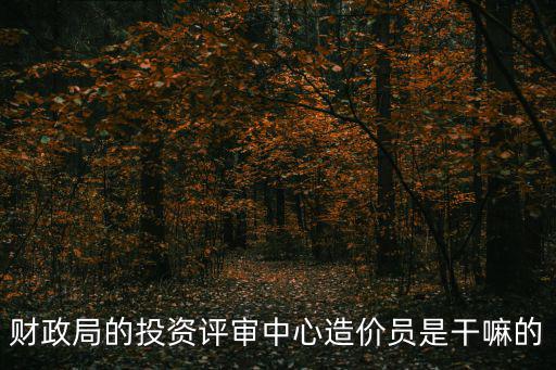 成都市財政投資和國資投資項目審計中心，求助報考財政投資評審中心