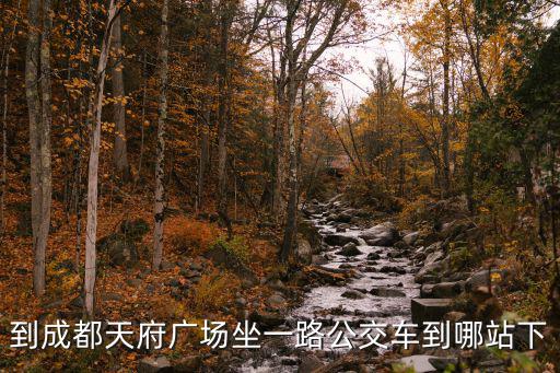 天府廣場到成都市政府，成都公交車路線