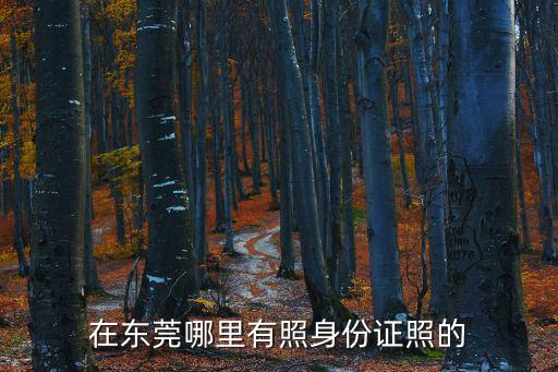 東莞二代身份證照片網址，二代身份證IC版正反面圖片查詢網址