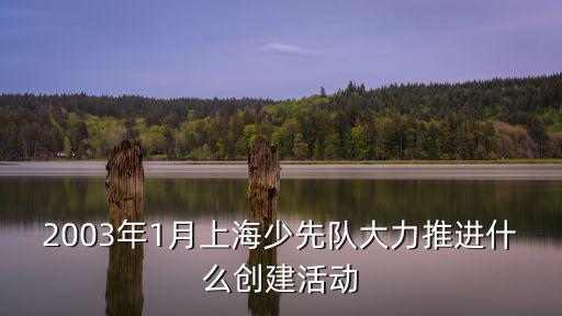 2003年1月上海少先隊(duì)大力推進(jìn)什么創(chuàng)建活動(dòng)