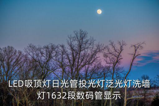LED吸頂燈日光管投光燈泛光燈洗墻燈1632段數碼管顯示
