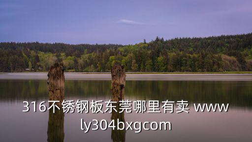 東莞鳳崗不銹鋼板賣，316不銹鋼板東莞哪里有賣 wwwly304bxgcom