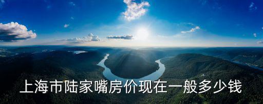 上海市陸家嘴房價現在一般多少錢