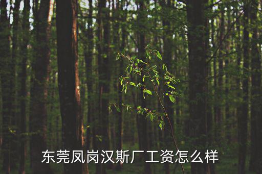 東莞鳳崗漢斯廠工資怎么樣