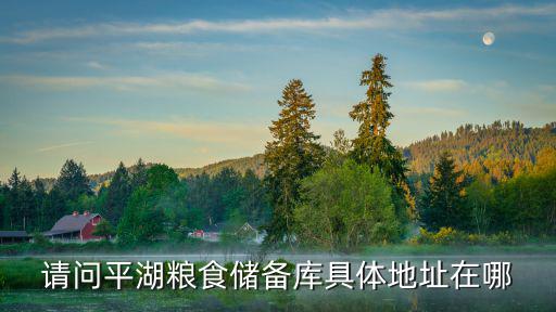 深圳市平湖糧庫，請問平湖糧食儲備庫具體地址在哪