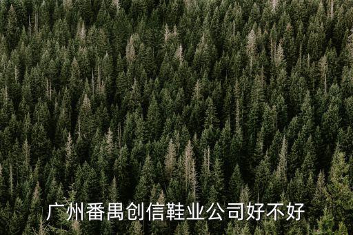 廣州番禺創信鞋業公司好不好