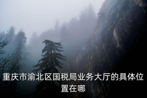 重慶市渝北區(qū)國(guó)稅局業(yè)務(wù)大廳的具體位置在哪