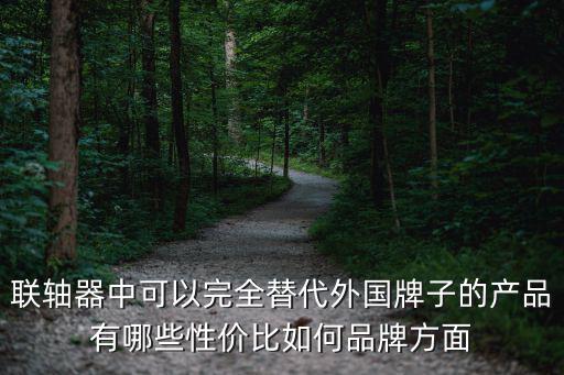 聯軸器中可以完全替代外國牌子的產品有哪些性價比如何品牌方面