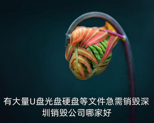 有大量U盤光盤硬盤等文件急需銷毀深圳銷毀公司哪家好