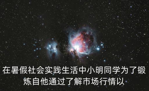 上海市暑期社會實踐專項，上海大學生 暑期實踐