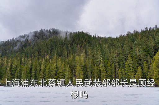 上海浦東北蔡鎮(zhèn)人民武裝部部長是顧經根嗎