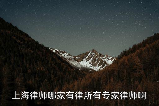 上海律師哪家有律所有專家律師啊