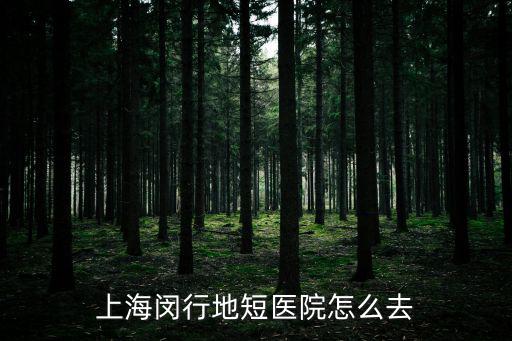 上海閔行地短醫(yī)院怎么去