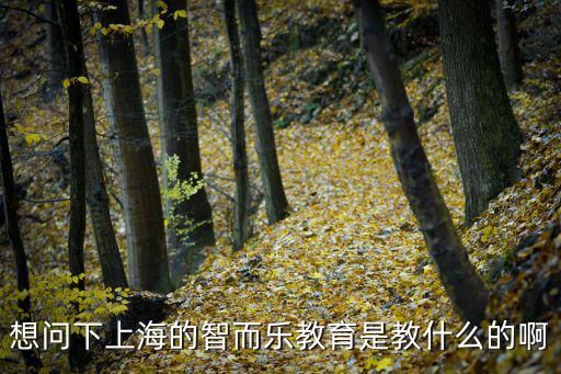 想問下上海的智而樂教育是教什么的啊