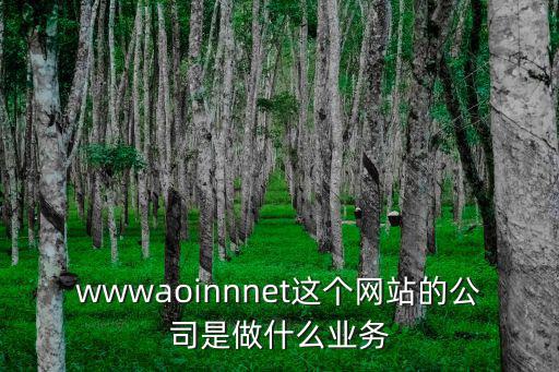 wwwaoinnnet這個(gè)網(wǎng)站的公司是做什么業(yè)務(wù)