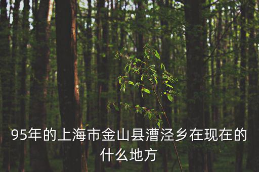 上海市金山縣哪年成立的，上海設縣的年代是哪年