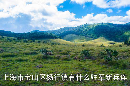 上海市寶山區(qū)楊行鎮(zhèn)有什么駐軍新兵連