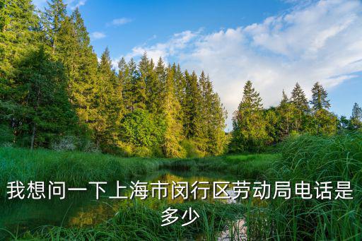 我想問(wèn)一下上海市閔行區(qū)勞動(dòng)局電話是多少