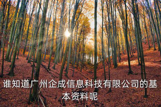 誰知道廣州企成信息科技有限公司的基本資料呢