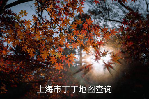 上海市新場鎮電子地圖，上海丁丁地圖線路查詢