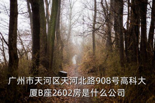 廣州市天河區天河北路908號高科大廈B座2602房是什么公司