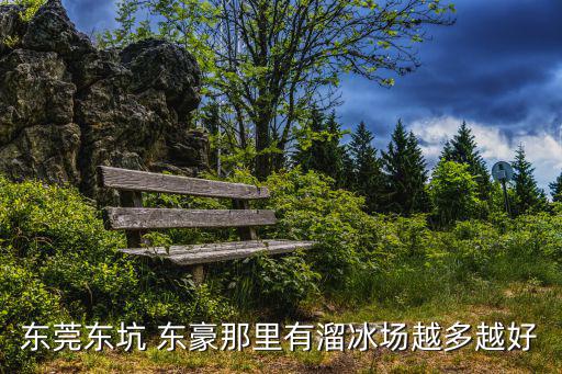 東莞東坑鎮(zhèn)有泳場嗎，大朗東坑有沒游泳池