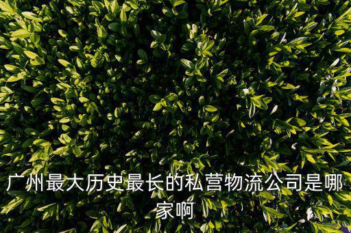 廣州最大歷史最長(zhǎng)的私營(yíng)物流公司是哪家啊