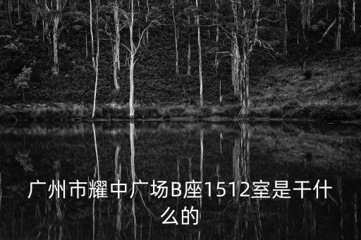 廣州市耀中廣場B座1512室是干什么的