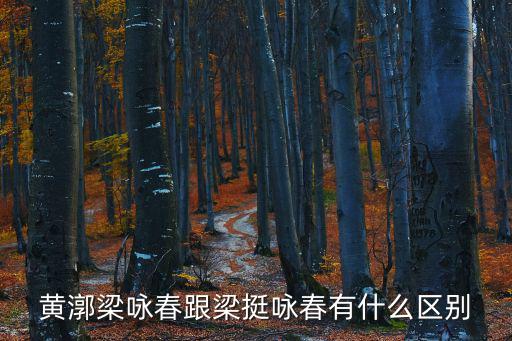 黃漷梁詠春跟梁挺詠春有什么區(qū)別