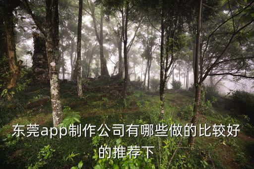 東莞高偉是做手機的，東莞APP制作比較好的有哪些公司