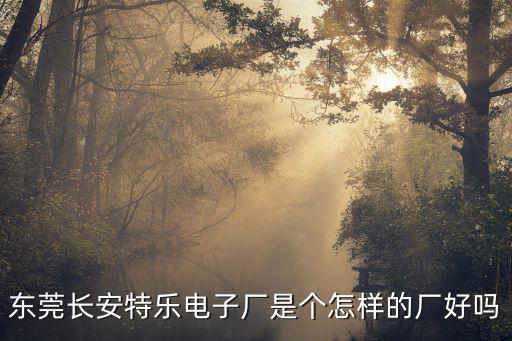 東莞長(zhǎng)安特樂(lè)電子廠是個(gè)怎樣的廠好嗎