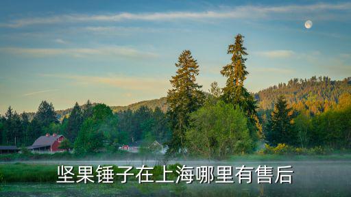 堅果錘子在上海哪里有售后