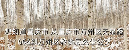 想知道重慶市 從重慶市萬州區(qū)天星路666到萬州區(qū)教委怎么坐公交