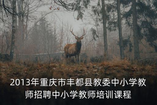 2013年重慶市豐都縣教委中小學教師招聘中小學教師培訓課程
