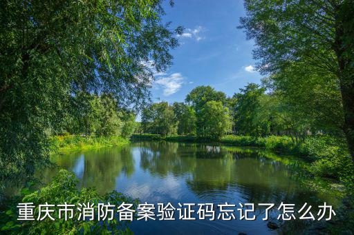 重慶市消防備案驗證碼忘記了怎么辦