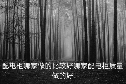 上海市配電箱哪里買，在上海那里有TT機箱賣啊