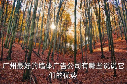 廣州最好的墻體廣告公司有哪些說(shuō)說(shuō)它們的優(yōu)勢(shì)