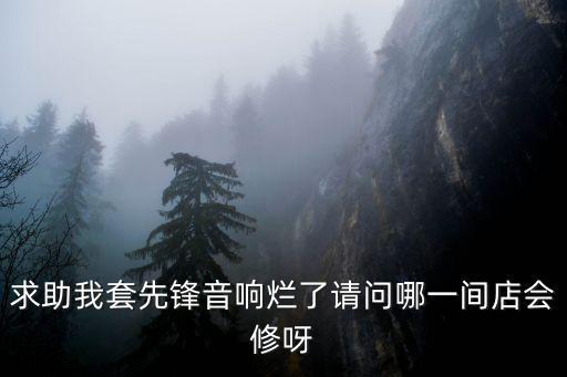 求助我套先鋒音響爛了請問哪一間店會修呀