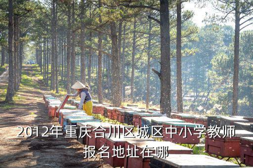 2012年重慶合川區城區中小學教師報名地址在哪