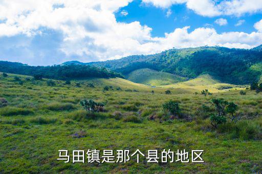 馬田鎮是那個縣的地區