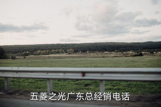五菱之光廣東總經(jīng)銷電話