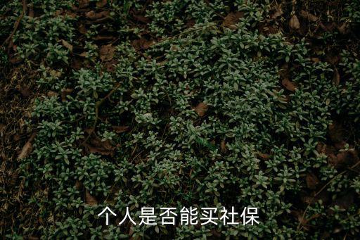 個(gè)人是否能買社保