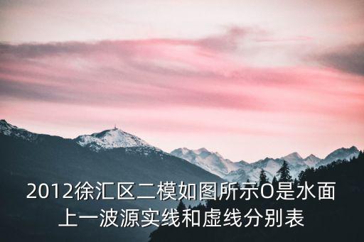 上海市徐匯區(qū)二模卷數(shù)學(xué)，上海高考徐匯數(shù)學(xué)二模試卷