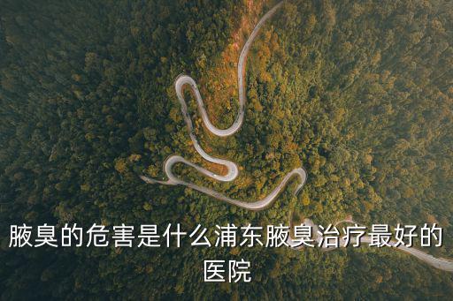 腋臭的危害是什么浦東腋臭治療最好的醫(yī)院
