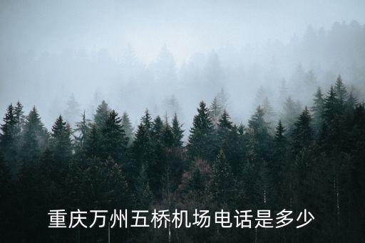 重慶萬州五橋機場電話是多少