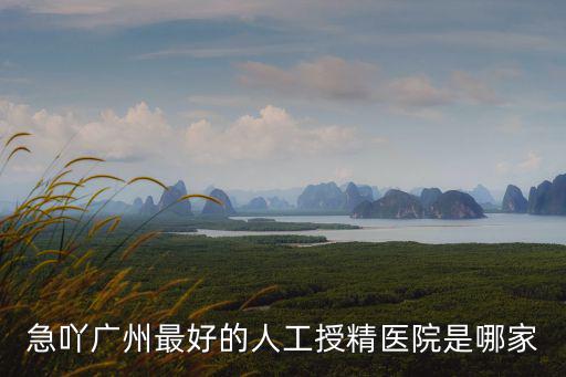 廣州銀河陽光生物，急吖廣州最好的人工授精醫(yī)院是哪家