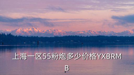 上海一區55粉炮多少價格YXBRMB